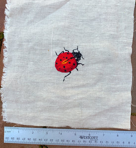 Lady Bug Embroidery Kit