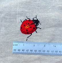 Load image into Gallery viewer, Lady Bug Embroidery Kit