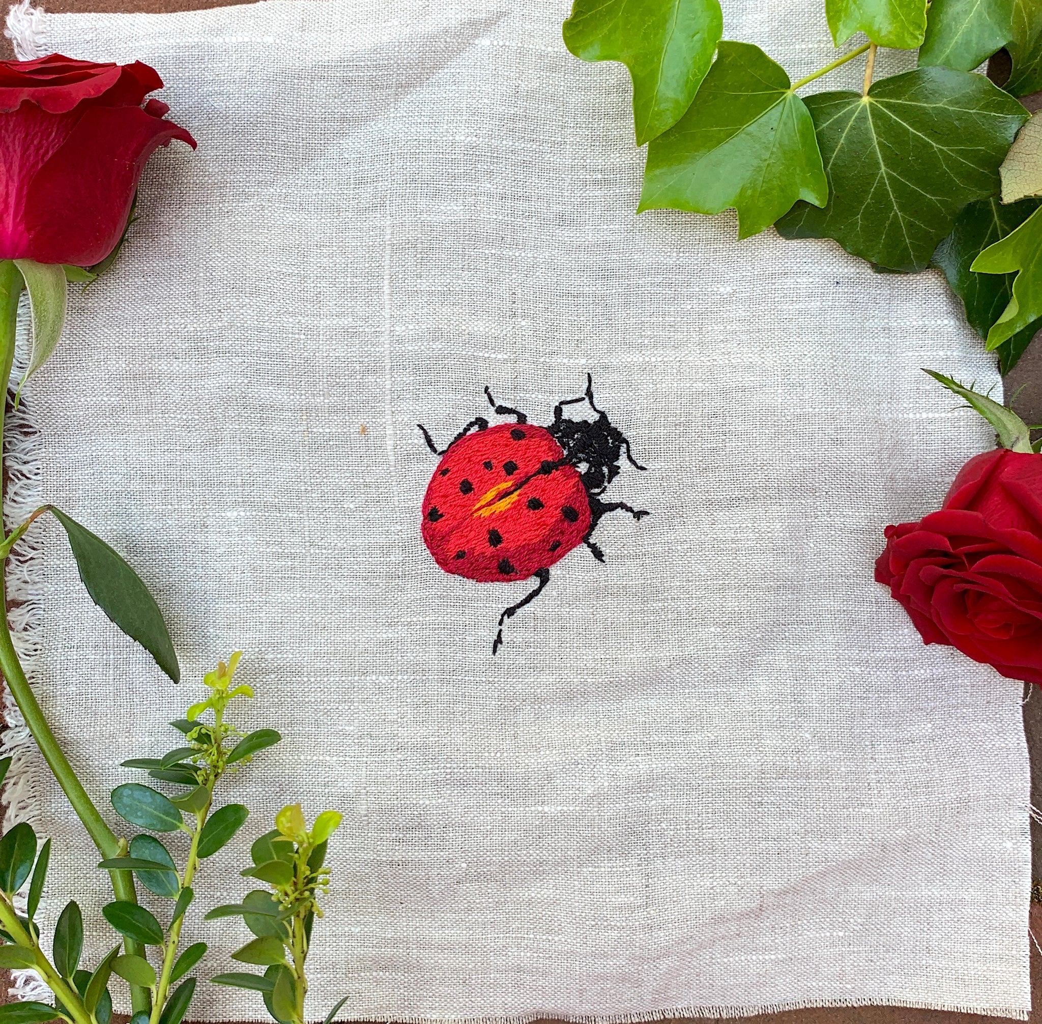 Ladybugs Patch Appliques Embroidered Iron on 5 Pcs Ladybugs Patch Appliques Embroidered Iron on 5 Pcs