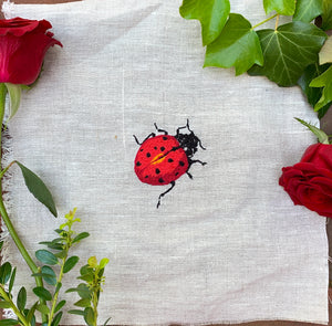 Lady Bug Embroidery Kit