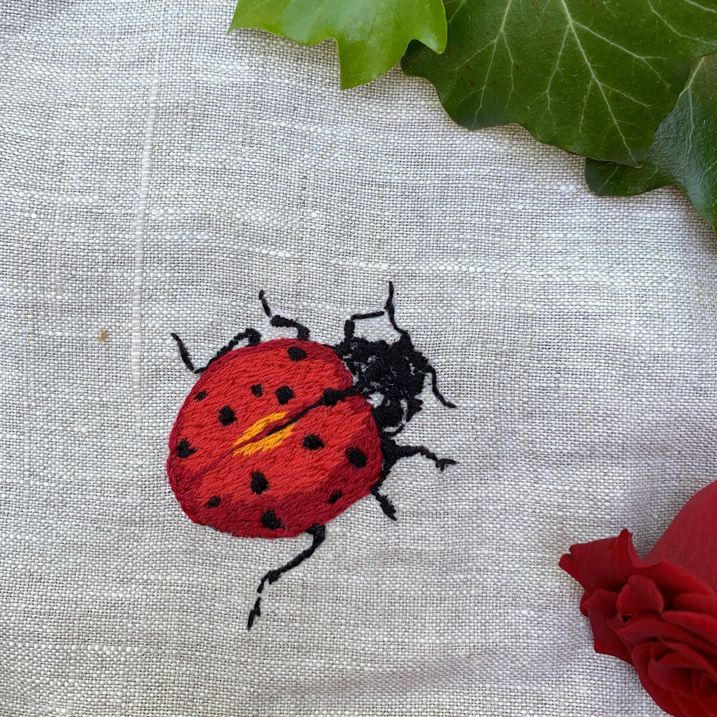 Lady Bug Embroidery Kit – Fauve Life